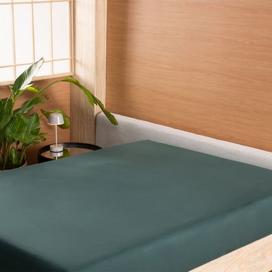 Lençol com Elástico Queen Altenburg Toque Acetinado – Verde