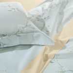 Imagem-3