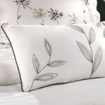 Design-sem-nome--9-